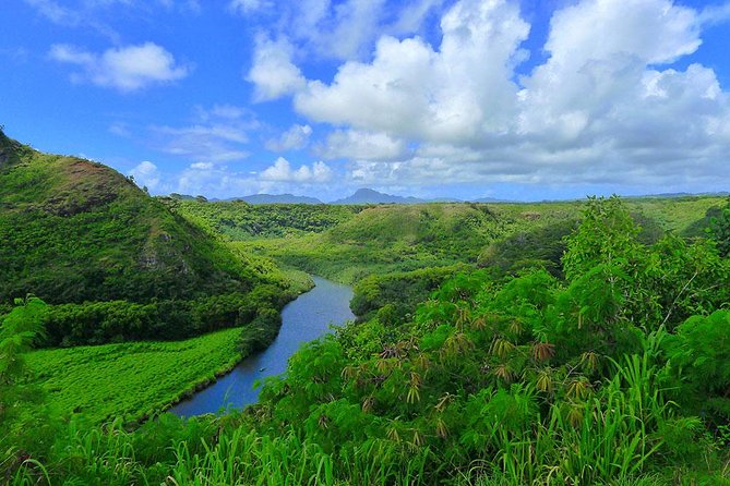 Day Trip from Oahu to Kauai: Waimea Canyon & Wailua River - Kauai Coffee Company: a tasting stop that feels like an actual break