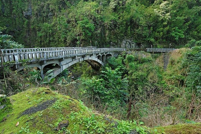 Day Trip from Oahu to Maui: Road to Hana Adventure - Hana Farms Lunch: Included Food, Real-Life Dietary Caution