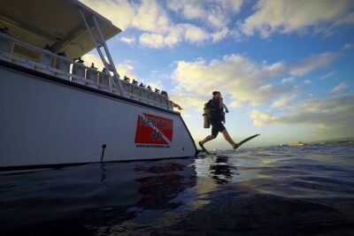 DISCOVER Scuba Diving Experience in Honolulu - Reef time after training: shallow, guided, and close to wildlife