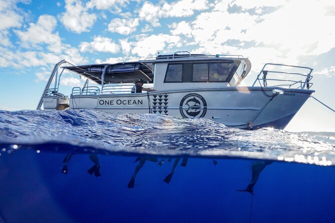 Dive with Sharks in Hawaii: Shark Tour from Haleiwa - The safety briefing that makes or breaks the whole experience