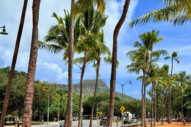Downtown Honolulu Food Tour with 5 Local Favorites Tastings - Key highlights to know before you go