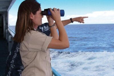 Early Bird Whale Watching Cruise from Waikiki - Onboard Comfort: Big Ship, Multiple Decks, Real Stability