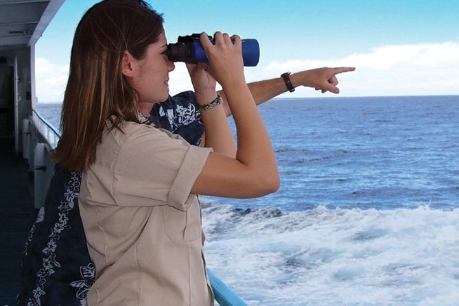 Early Bird Whale Watching Cruise from Waikiki - Onboard Comfort: Big Ship, Multiple Decks, Real Stability