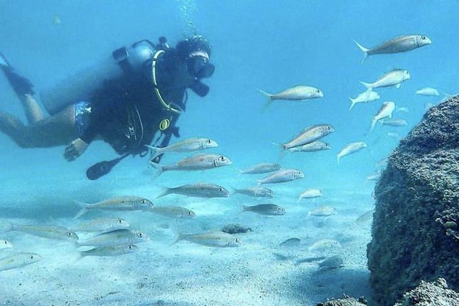 First-Time Scuba Diving in Honolulu + Free Videos - What the safety lesson feels like (and why it matters)