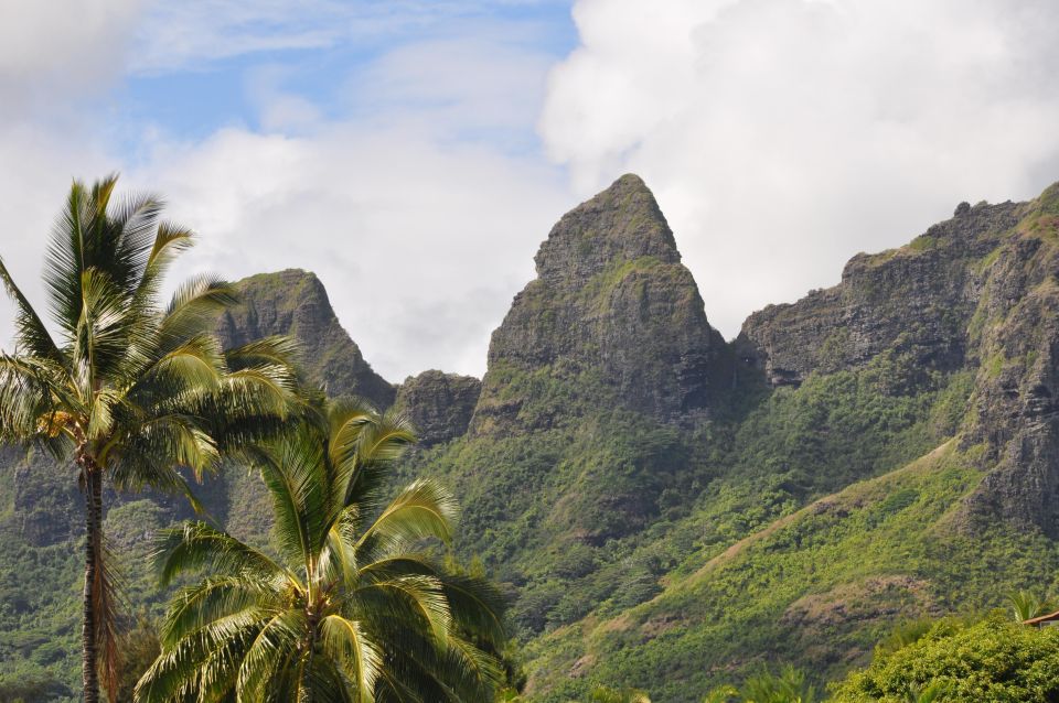 From Oahu: Kauai Highlights & Movie Sites - Opaeka‘a Falls: The 151-Foot Start That Sets the Mood