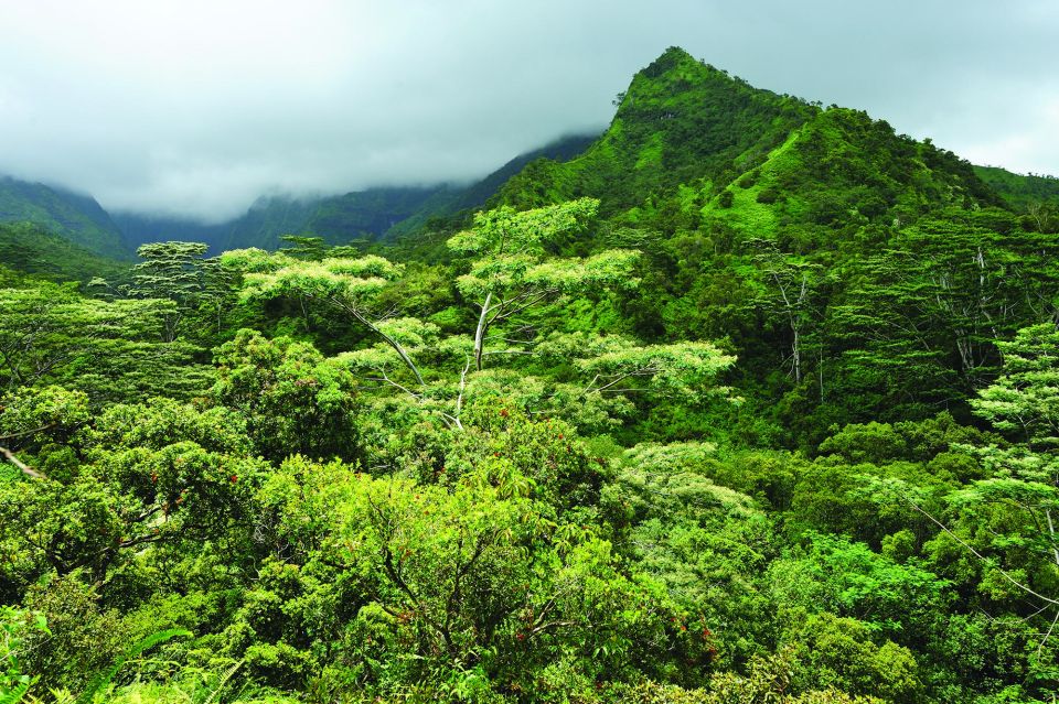 From Oahu: Kauai Highlights & Movie Sites - Hanalei Valley Views and the North Shore Feel
