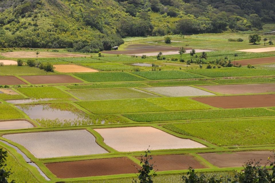 From Oahu: Kauai Highlights & Movie Sites - What to Bring and How to Keep the Day From Feeling Rushed