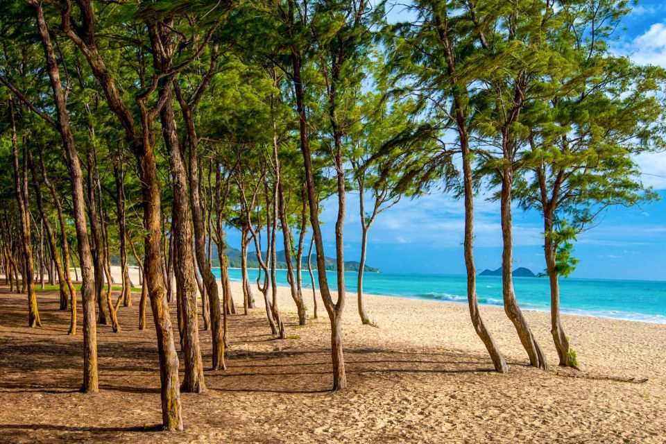 From Waikiki: Best of Oahu Photo Tour with Pickup - Price and value: $99 for a guided photo day, not a self-drive checklist
