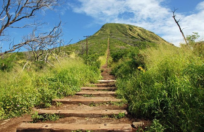 Full-Day Guided Adventure in Koko Head Stairs and Southeast O'ahu - Key Highlights Worth Knowing Before You Go
