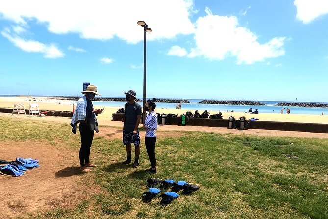 Guided Snorkel Tour for Beginners in Honolulu - The main water time: a reef with 20+ fish types