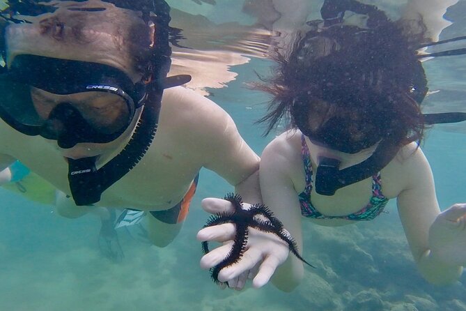 Guided Snorkel Tour for Beginners in Honolulu - Price and value: why $59 can feel like a deal