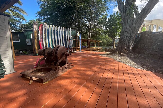 Haleiwa River Paddle Board Rental with Blue Planet Adventure Co. - Wildlife on the Anahulu: Turtles, Birds, and the Fun of Looking Around