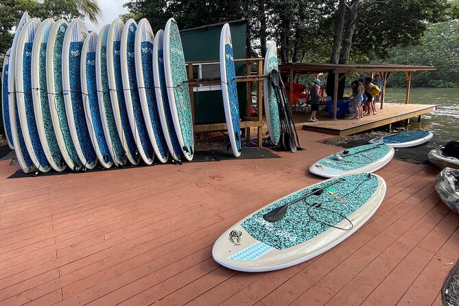 Haleiwa River Paddle Board Rental with Blue Planet Adventure Co. - The Bridge Area and That Rope Swing Moment