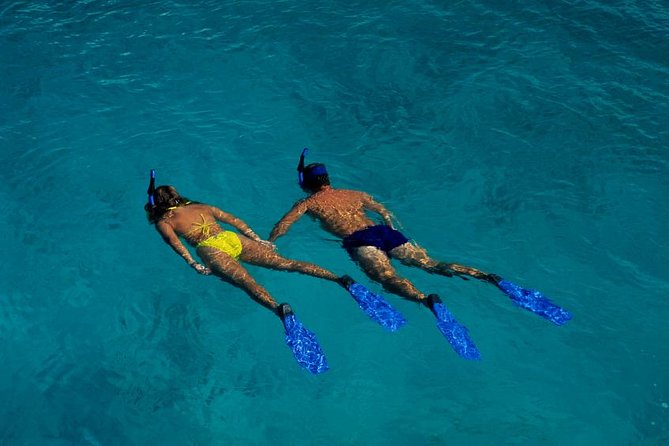 Half Day Oahu Combo Adventure: Bike, Sail and Snorkel - Getting started: Waikiki pickup, Tantalus drive, and your gear setup
