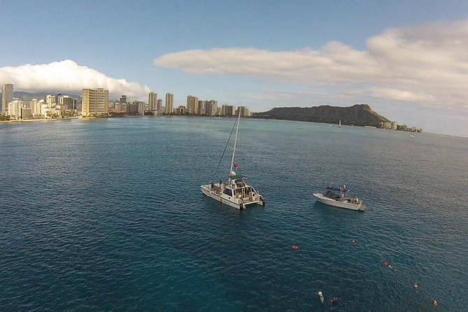 Half Day Oahu Combo Adventure: Bike, Sail and Snorkel - Staff and service: what the best days feel like