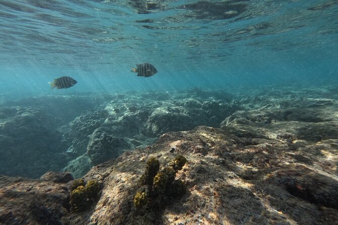 Hanauma Bay Guided Snorkeling Tour with Transportation - The guide makes the difference: safety first, then the fun