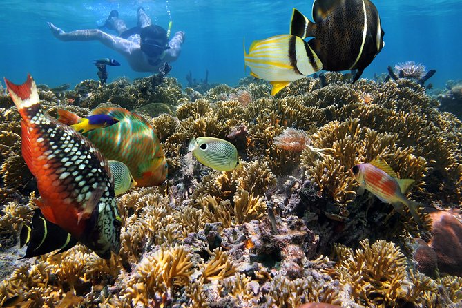 Hanauma Bay Snorkeling - Price and value: what you pay for, and what you still pay