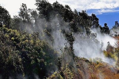 Hawaii Volcanoes National Park Experience Departing from Oahu - Greenwell Farms: Kona Coffee History Meets Volcanic Soil