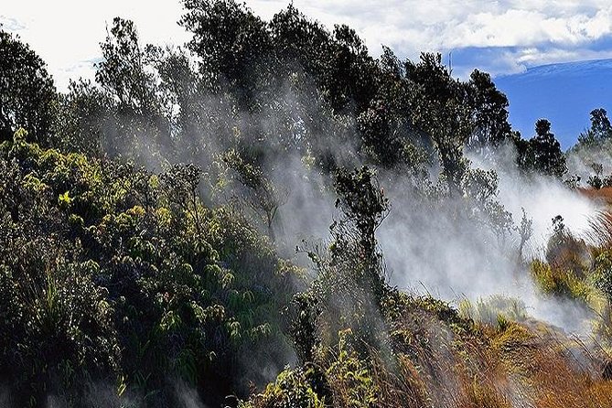 Hawaii Volcanoes National Park Experience Departing from Oahu - Greenwell Farms: Kona Coffee History Meets Volcanic Soil