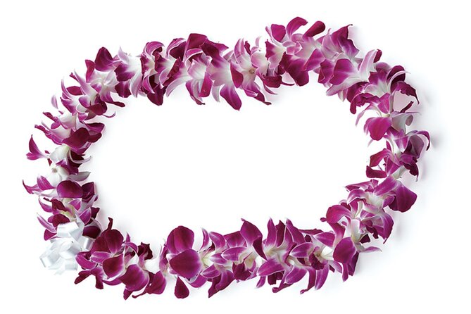 Honolulu Airport: Waikiki Private Transfer With Lei Greeting - Why a private Honolulu–Waikiki car feels worth it