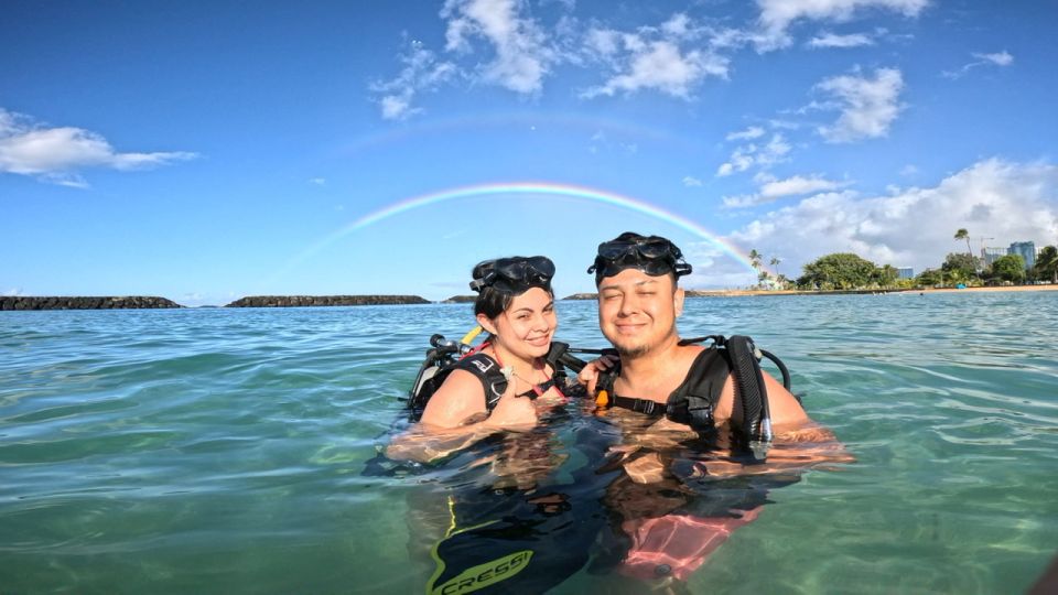 Honolulu: Beginner Scuba Diving Tour With Free Videos - What You Might See in This Sheltered Marine Habitat