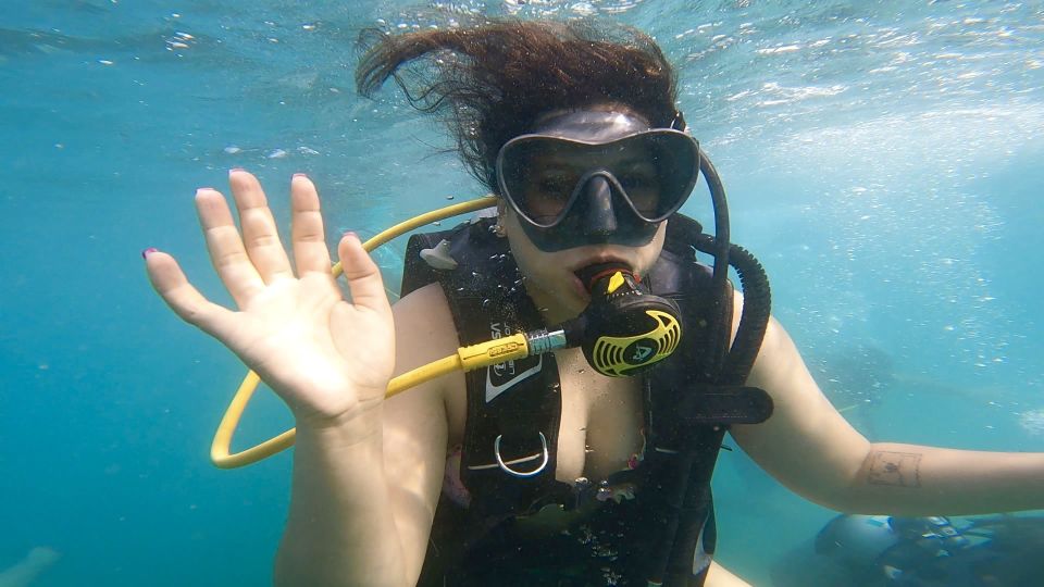 Honolulu: Beginner Scuba Diving Tour With Free Videos - Price in Context: Is $89 a Good Deal?