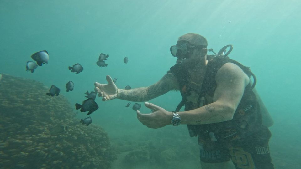Honolulu: Beginner Scuba Diving Tour With Free Videos - FAQ