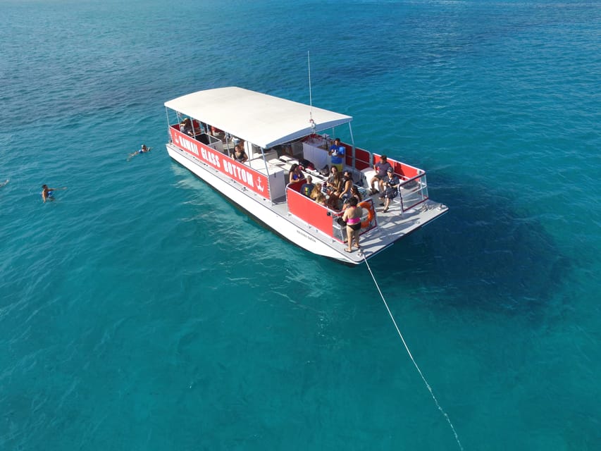 Honolulu: Glass Bottom Boat Tour along Oahu's South Shore - Wildlife Spotting: Honu Turtles, Dolphins, Eels, and Reef Sharks