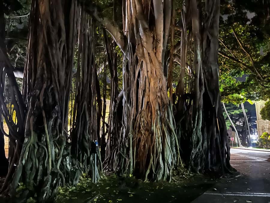 Honolulu Haunts: Ghosts and Spirits Walking Tour - Iolani Palace: Royal Grounds and the Haunting Angle
