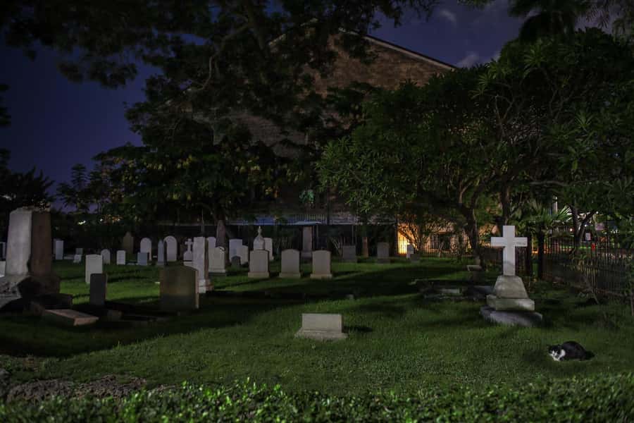 Honolulu Haunts: Ghosts and Spirits Walking Tour - How Scary Is It, and What Makes It Work for Families
