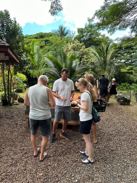 Honolulu: Highlights of Oahu Small Group Tour - Kahuku lunch at food trucks: the taste test of the day