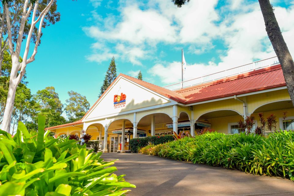 Honolulu: Oahu Island Full-Day Guided Tour by Bus with Lunch - Guide energy: why names like Keoki and Humu keep showing up