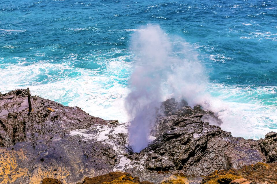 Honolulu: Oahu Sights and Bites Circle Island Foodie Tour - Waikiki pickup, Diamond Head views, and poi donut timing