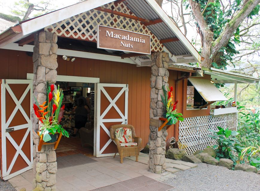 Honolulu: Oahu Sights and Bites Circle Island Foodie Tour - Ending at Dole Plantation: shopping time and pineapple-ground vibes