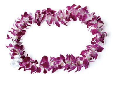 Honolulu: Private Airport Transfer with Arrival Lei Greeting - Orchid lei at the curb: the aloha welcome