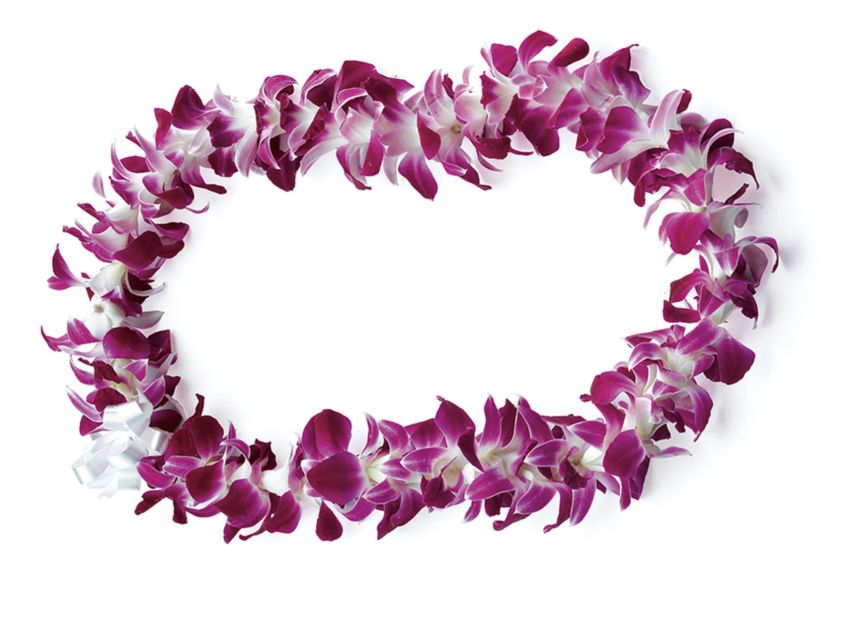 Honolulu: Private Airport Transfer with Arrival Lei Greeting - Orchid lei at the curb: the aloha welcome