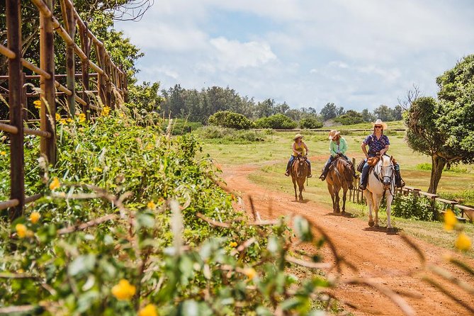 Horseback Ride Like an Authentic Paniolo in Kahuku - Key Points You’ll Care About