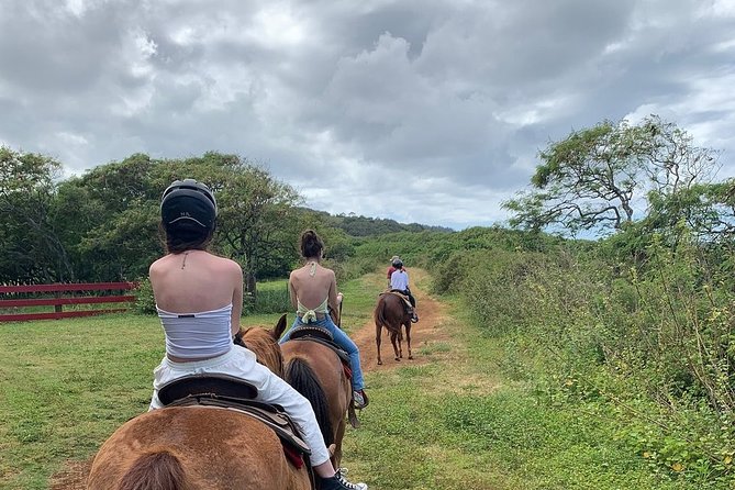 Horseback Ride Like an Authentic Paniolo in Kahuku - Guide Commentary on Paniolo Life: Stories, History, and Practical Riding Tips