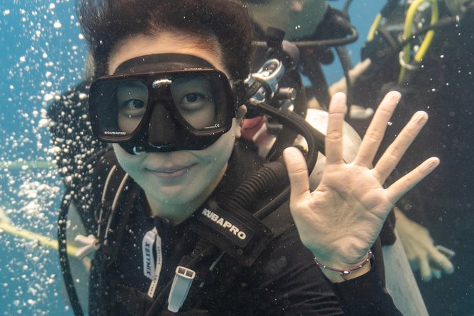 Incredibly Fun Coral Reef Giant Sea Turtles 4hour Boat Scuba Tour - What the two-tank plan means for first-timers