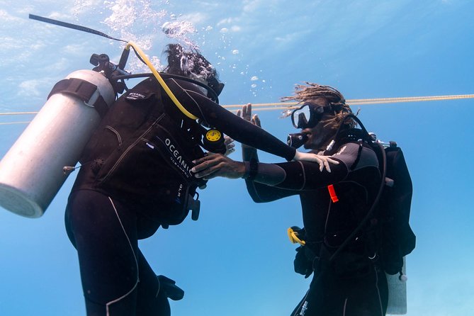 Incredibly Fun Coral Reef Giant Sea Turtles 4hour Boat Scuba Tour - Weather reality: when the reef looks different