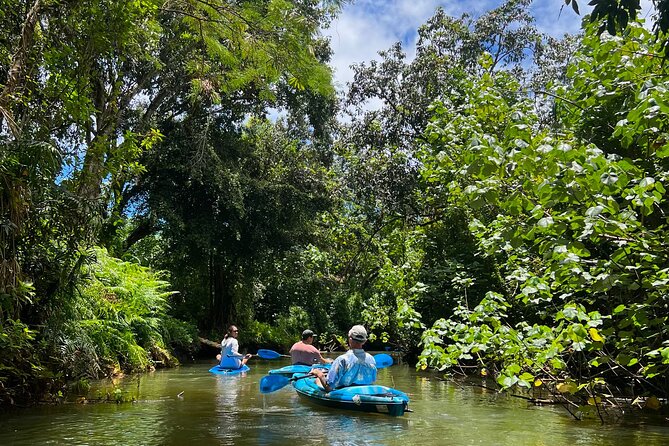 Kahana Bay River to Ocean: Kayak and Stand Up Paddle Board Rental - Life jackets, self-guided style, and the practical safety feel