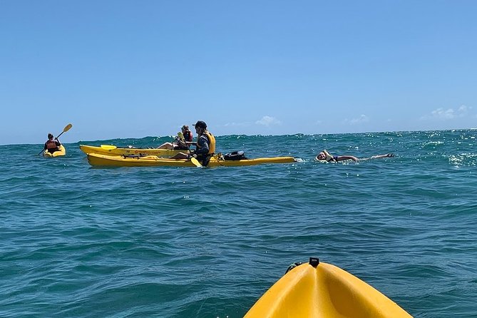Kailua 2-Hour Guided Kayaking Excursion, Oahu - Price and Value: Is $199.94 for Two Hours Worth It?
