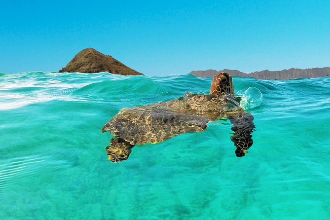 Kailua Bay, Oahu: Epic Kayak and Snorkel to Islands - The real “work” factor: kayak strength, wind, and transporting your boat