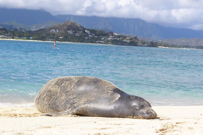 Kailua Bay, Oahu: Epic Kayak and Snorkel to Islands - Lunch and showers: the small comforts that make it worth repeating
