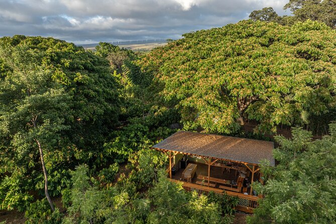 Kamananui Cacao Orchard Tour - Chocolate Tasting: Sampling That Feels Like Comparison