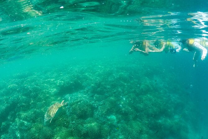 Kaneohe Sandbar Snorkeling Tour - 2nd Tour - Snacks, Cooler Drinks, and What to Bring Anyway