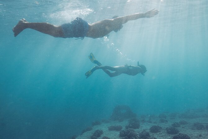 Kayak, Snorkel, and Surf with Turtles in Honolulu - Surf time: 1 hour catching waves with Shane and Captain Neil