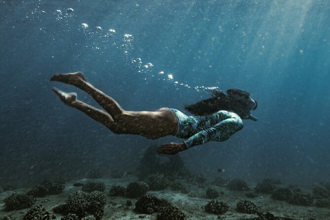 Kayak, Snorkel, and Surf with Turtles in Honolulu - Price and logistics: what you’re really paying for