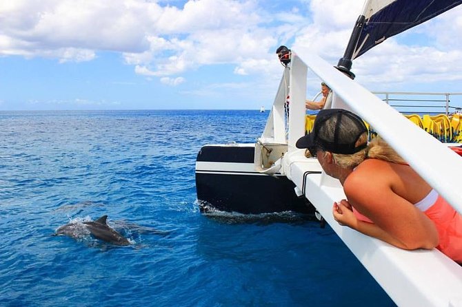 Ko Olina Catamaran Sail and Snorkel with Lunch - The cruise portion: what you’ll actually see from the boat