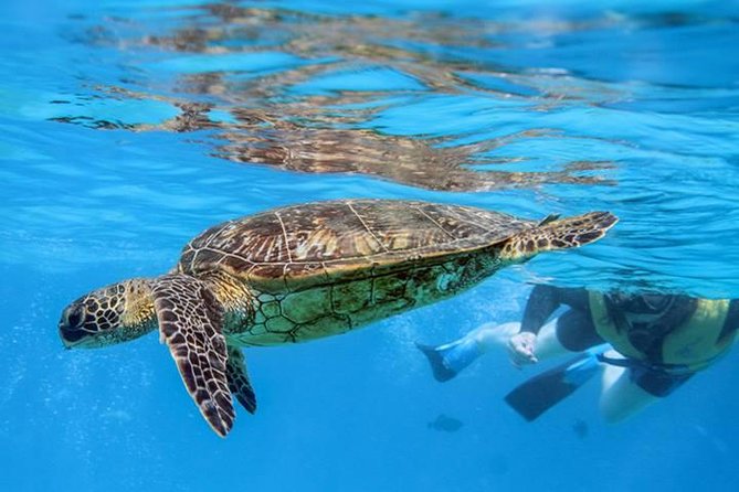 Ko Olina Catamaran Sail and Snorkel with Lunch - Lunch and drinks: included, and timed the way you want